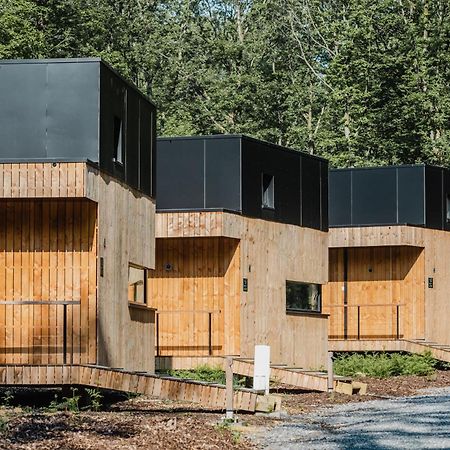 Forest Cube Oignies Exteriér fotografie