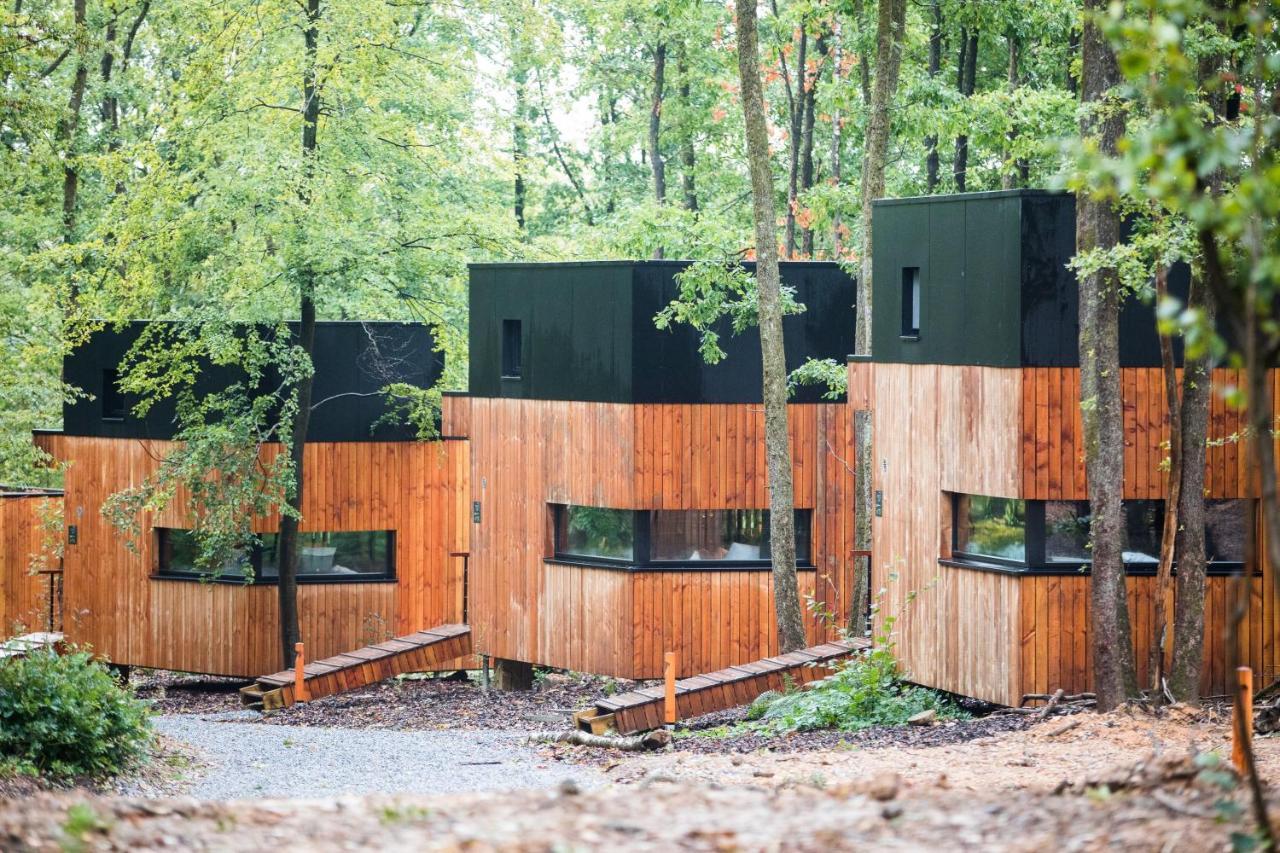 Forest Cube Oignies Exteriér fotografie