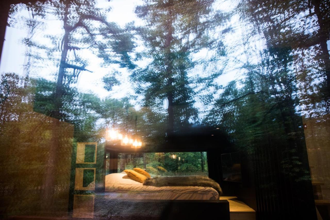 Forest Cube Oignies Exteriér fotografie